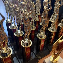 68 assorted trophies *NEW*