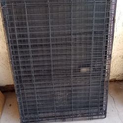 Dog Cages