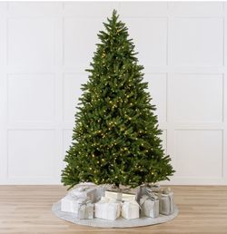 Royal Fir Tree Pre-Lit Warm White LED Lights 12’