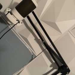 Microphone With Shock Mount 