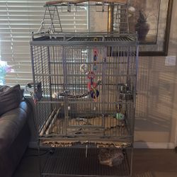 Birdcage stainless steel