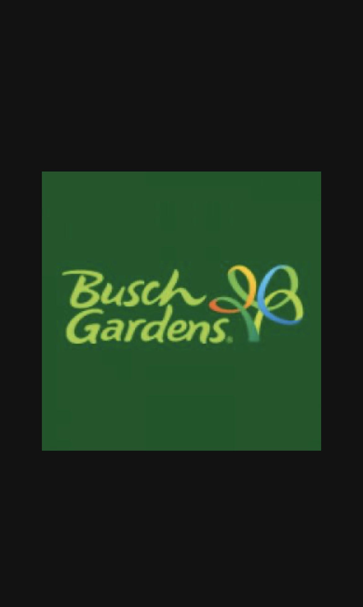 Bush Gardens Tampa 