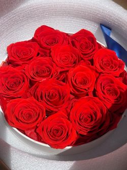 Mother’s Day| Real Rose That Never Fade |Forever Rose