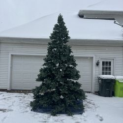 12 Foot Christmas Tree 