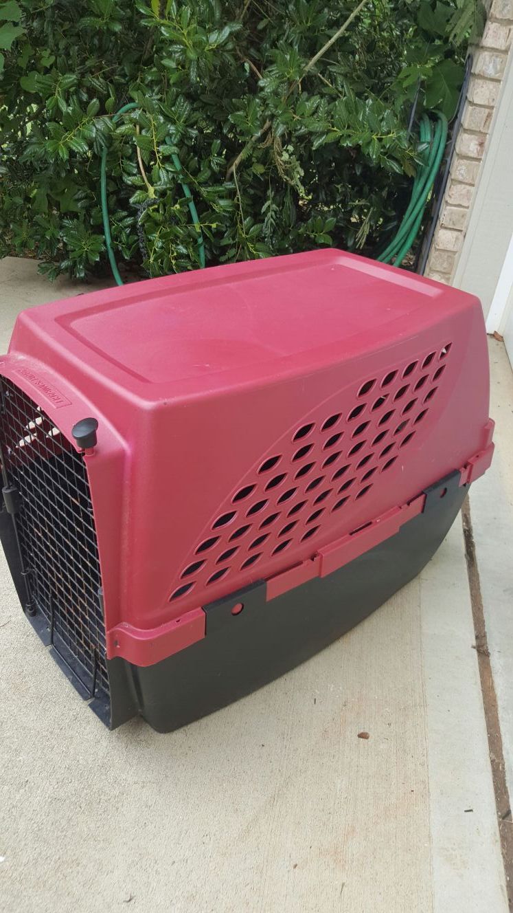 Medium crate