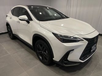 2025 Lexus NX