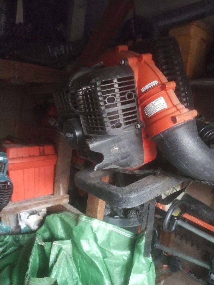 Echo Leaf Blower