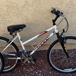 26” Motiv 21 speed bicycles