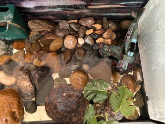 Fresh/Salt water Tank