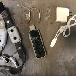 Dog Training Collar