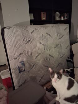 Mattress Free
