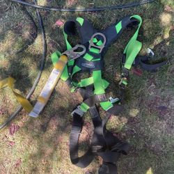 Werner Harness Fall Protection 