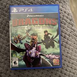 Dragons Dawn Of New Rider 