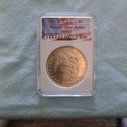 1881-S Morgan Silver Dollar MS65
