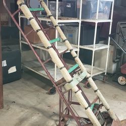 Steel Commercial Dolly