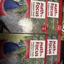 Math in Focus
