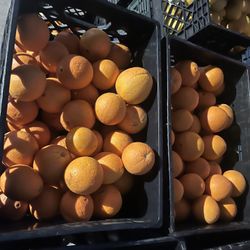 Fresh Oranges