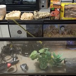 40 Gallon Fish/ Reptile Tank Like New