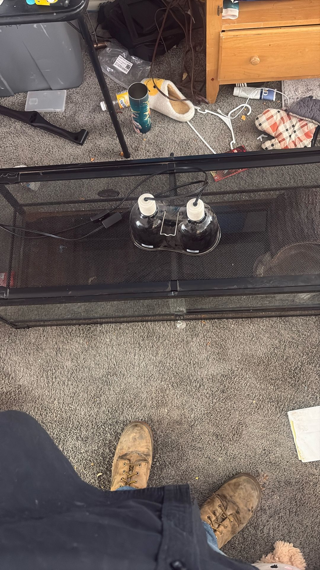 Reptile Set Up (40 Gallon)