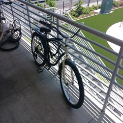 Beach Cruiser 