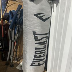 Punching Bag