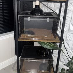 10 Gallon Aquarium Stand With Tanks 