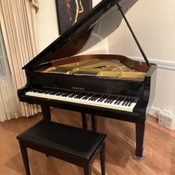 Baby grand piano, Immaculate
