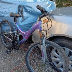 24 Inch Mountain Bike Ready To Ride 