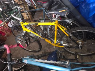 Raleigh M60 Mountain Bike