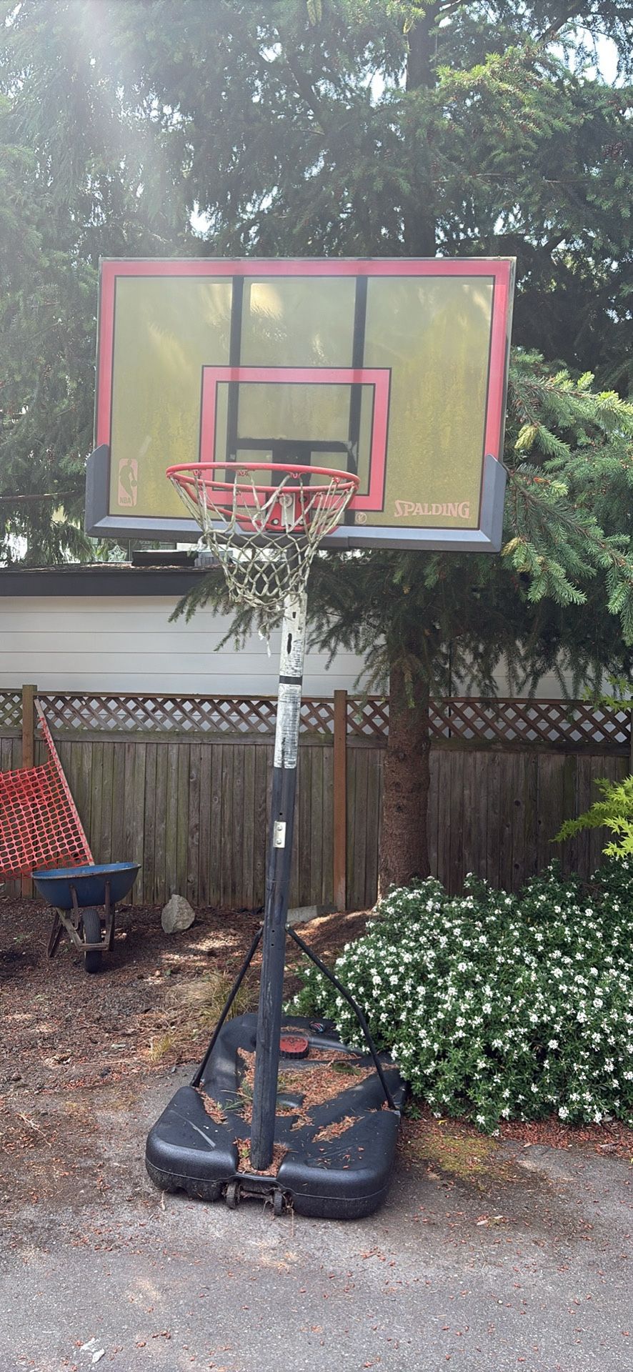 Basketball Hoop (Free)