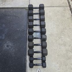 Dumbbell  Weights