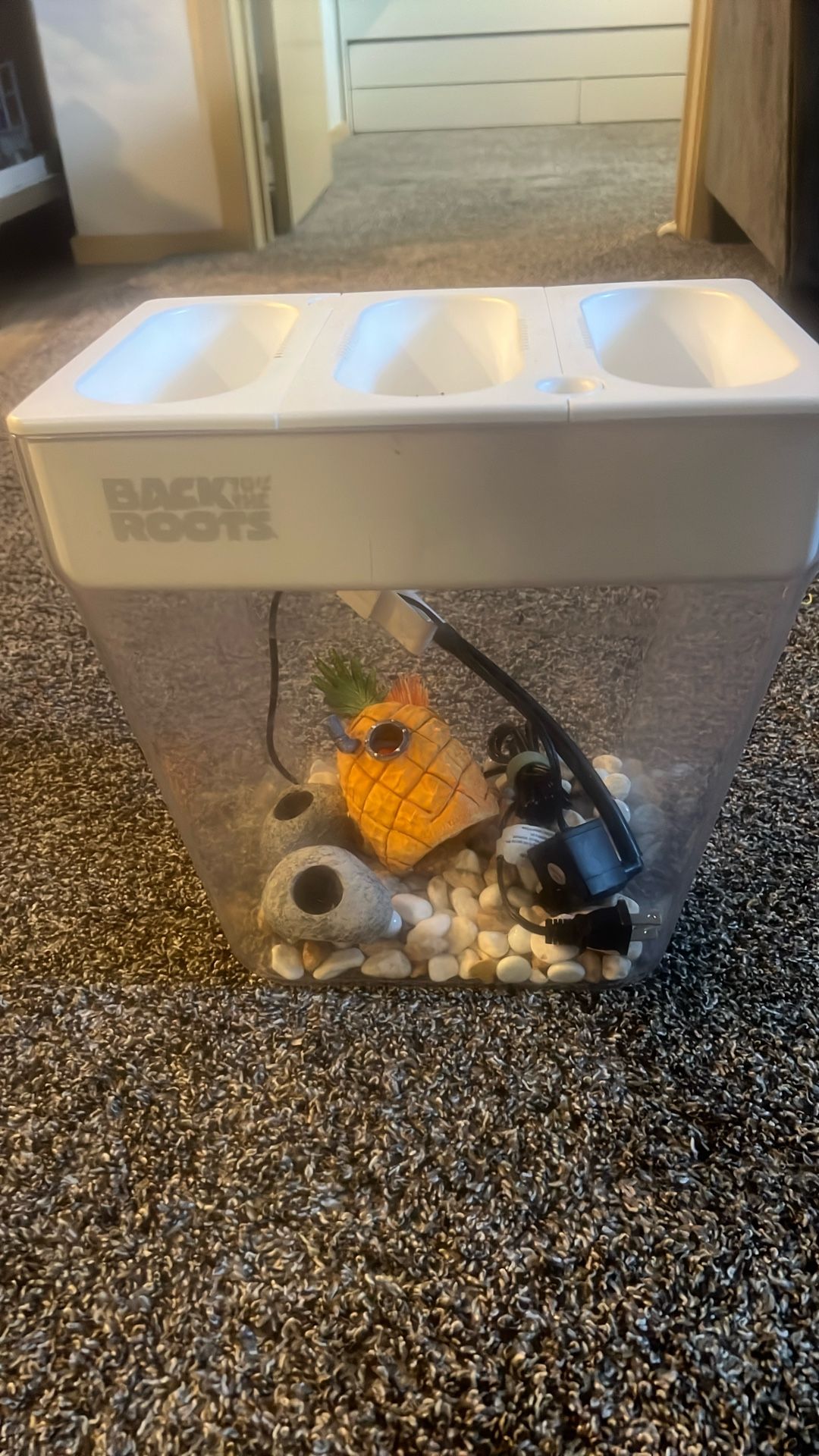 Back To The Roots Fish Tank