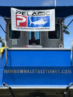 fishing charter - north shore 