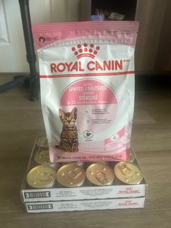 Royal Canin kitten food wet/dry