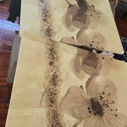 Ryuijie photo series prints