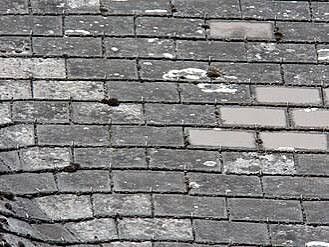 Roof Shingles