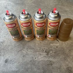 Krylon Wood Stain Exterior Earthen Brown Spray