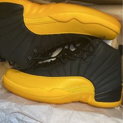 Jordan 12s 