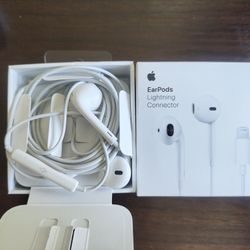 Apple earphones (wired)