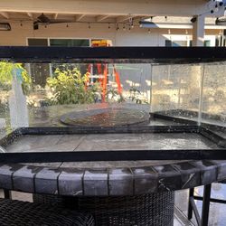 22 Short Gallon Tank