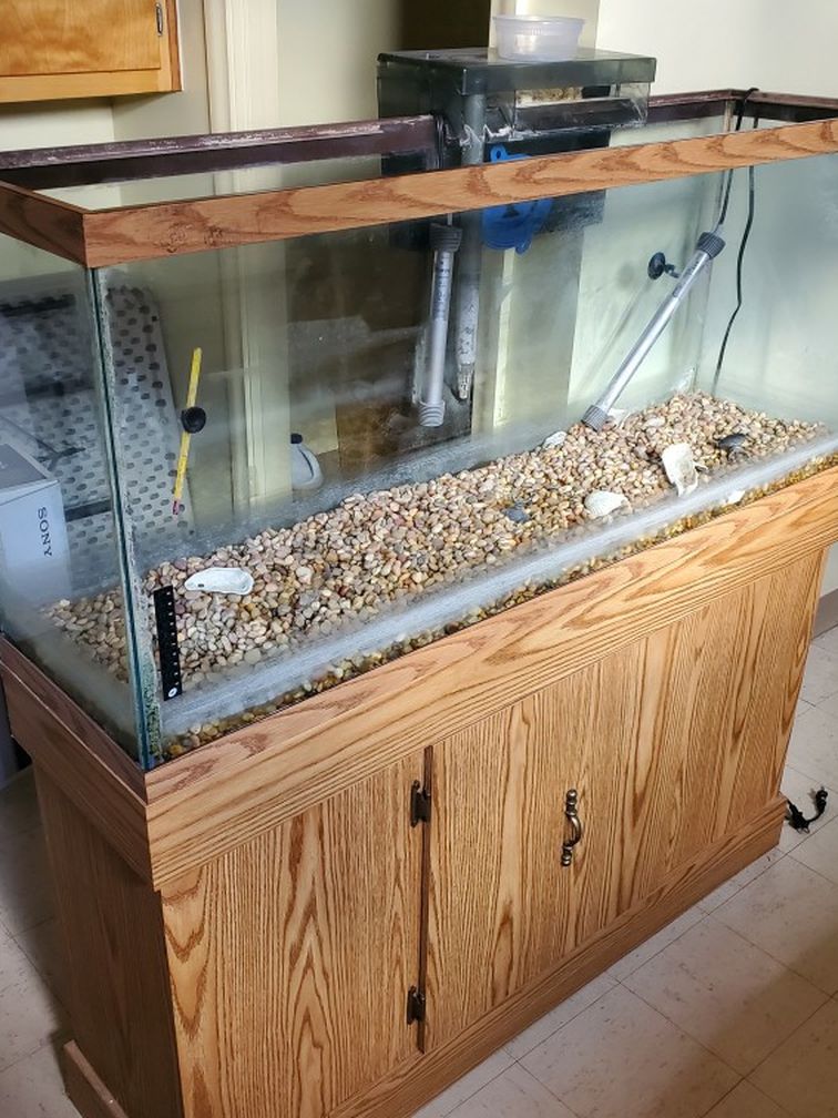 50 Gallon Fish Tank