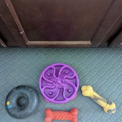 Aggressive Chewer Ring, Slow Feeder Bowl & 2 Bones