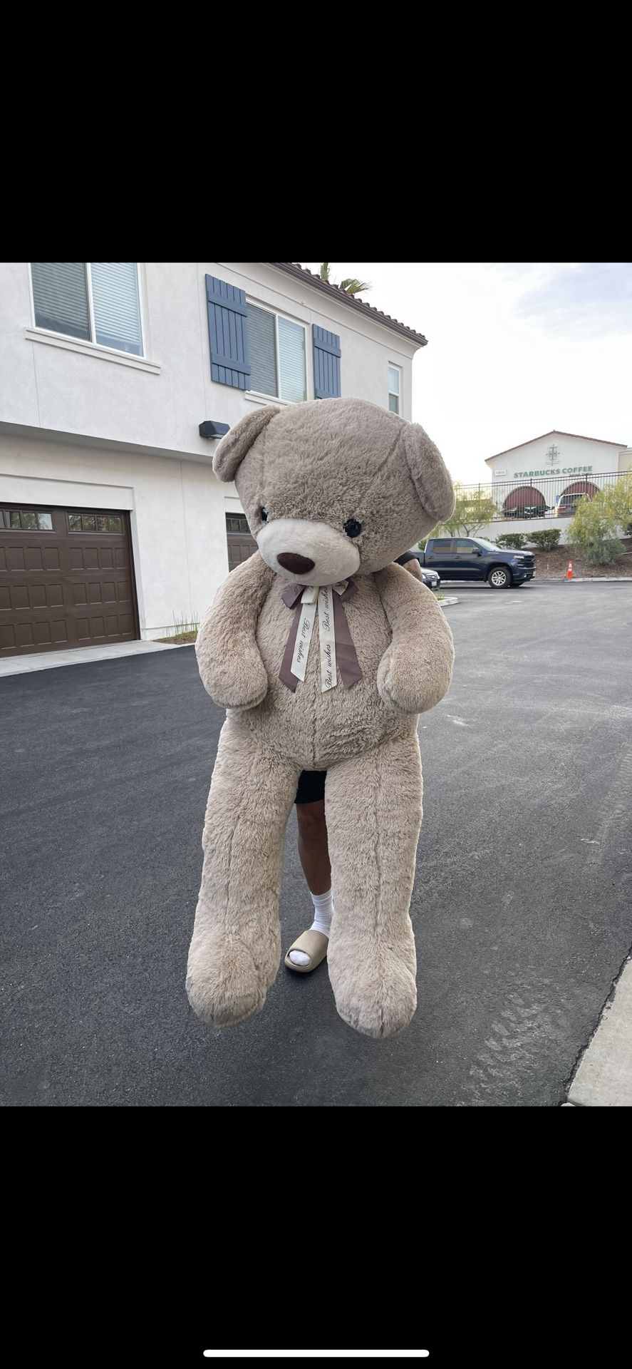 Giant Bear