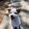 Price Is Right!Chex My Profile
