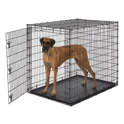 XX-Large Heavy Duty Single Door Wire Dog Crate, 54-in L x 37-in W x 45-in H