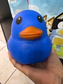 Sunny Days Squishy Duck