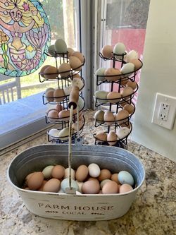 Fresh Eggs!! !