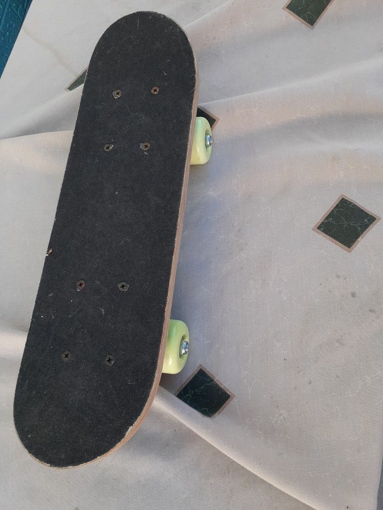 Skate Board