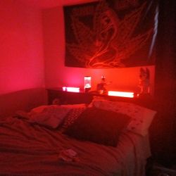 Led Pole Lights (There's An App To Use)