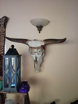 Skull